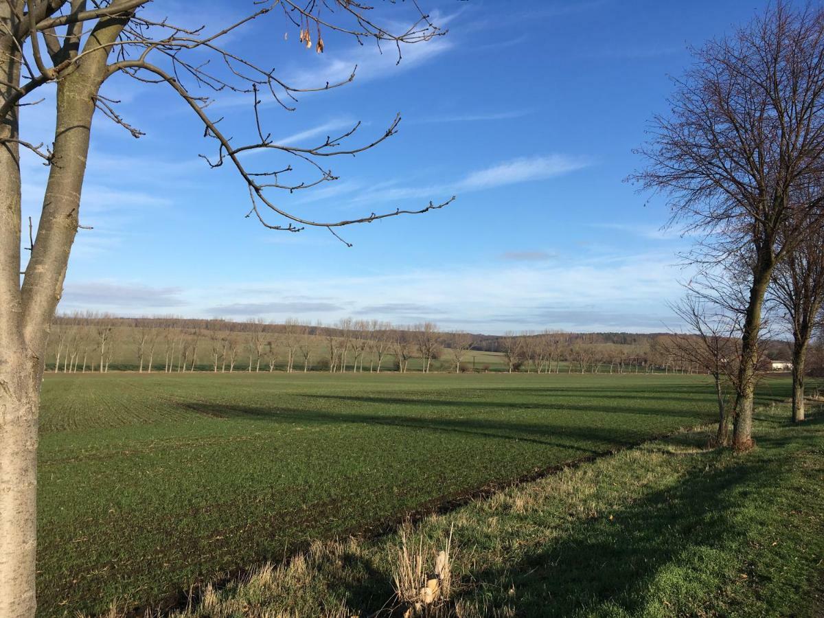 Gaestehaus Am Wald Oschersleben Kültér fotó